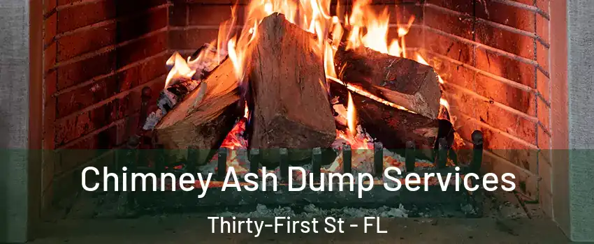 Chimney Ash Dump Services Thirty-First St - FL