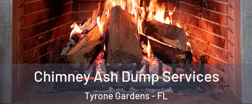 Chimney Ash Dump Services Tyrone Gardens - FL