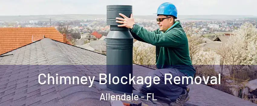Chimney Blockage Removal Allendale - FL