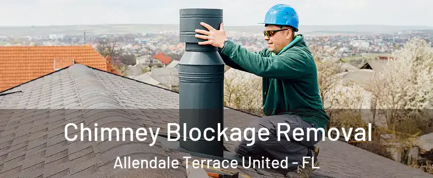 Chimney Blockage Removal Allendale Terrace United - FL