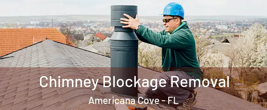 Chimney Blockage Removal Americana Cove - FL
