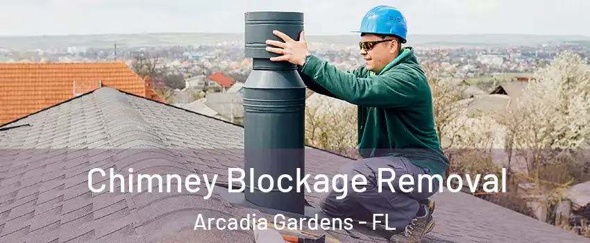 Chimney Blockage Removal Arcadia Gardens - FL