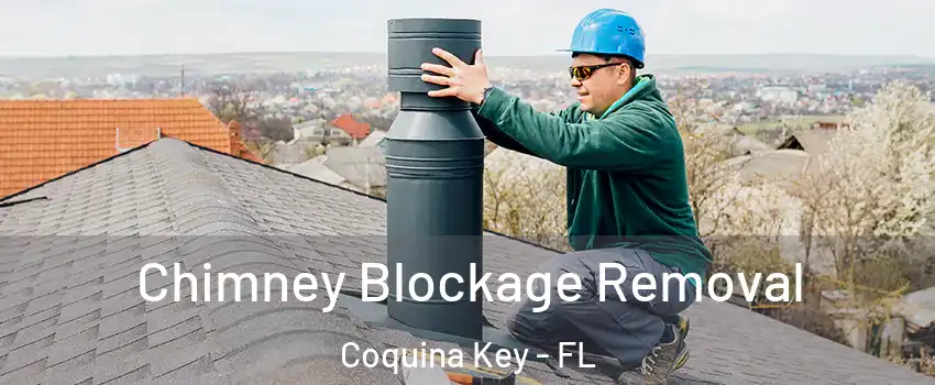 Chimney Blockage Removal Coquina Key - FL