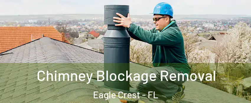 Chimney Blockage Removal Eagle Crest - FL