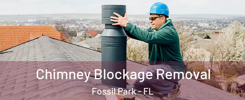 Chimney Blockage Removal Fossil Park - FL