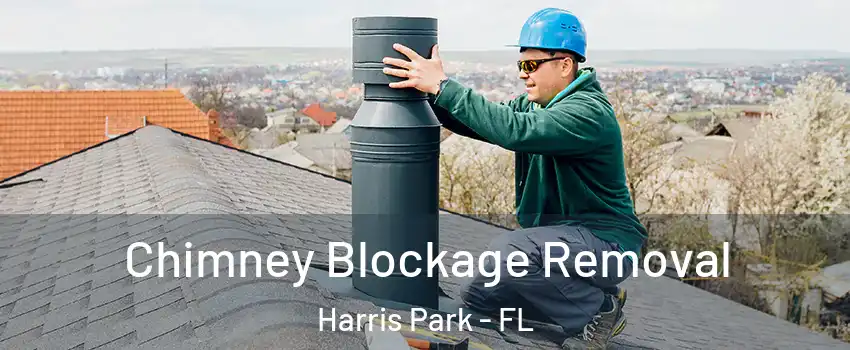 Chimney Blockage Removal Harris Park - FL