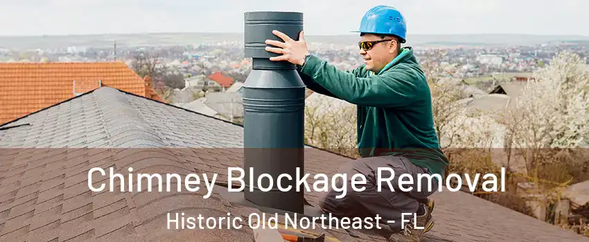 Chimney Blockage Removal Historic Old Northeast - FL