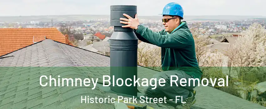 Chimney Blockage Removal Historic Park Street - FL