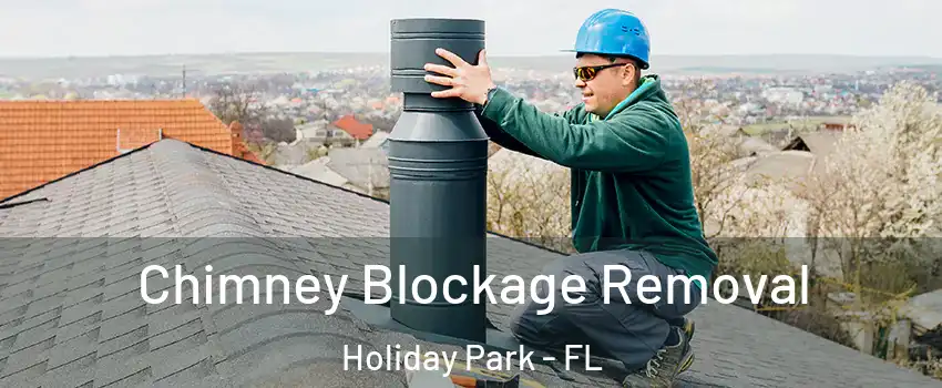 Chimney Blockage Removal Holiday Park - FL