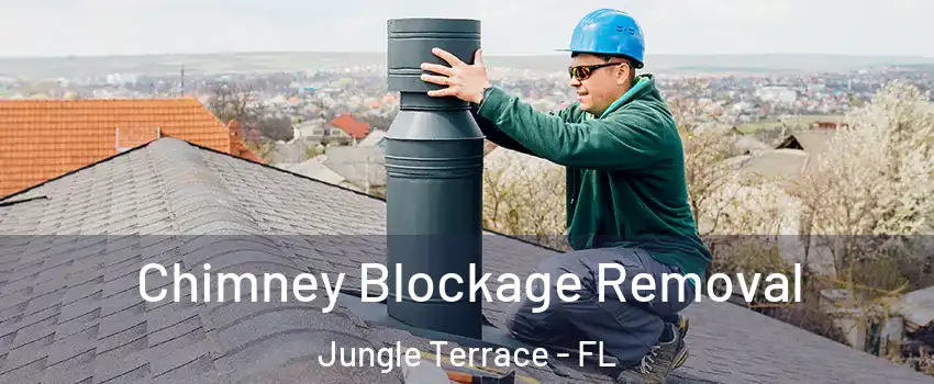 Chimney Blockage Removal Jungle Terrace - FL