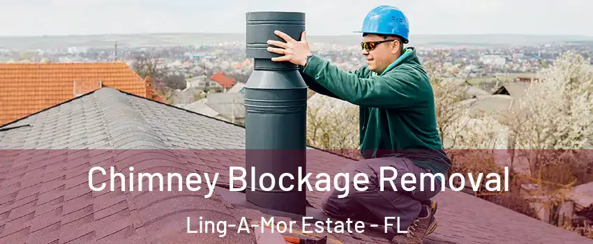 Chimney Blockage Removal Ling-A-Mor Estate - FL