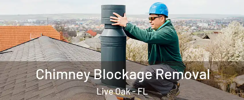 Chimney Blockage Removal Live Oak - FL