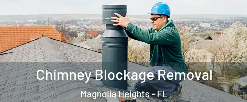 Chimney Blockage Removal Magnolia Heights - FL