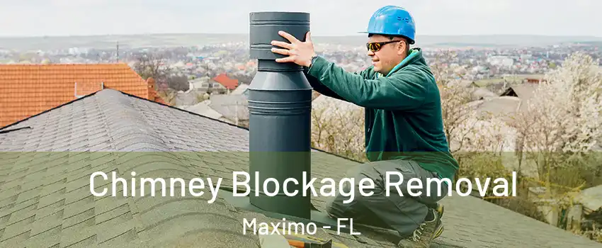 Chimney Blockage Removal Maximo - FL