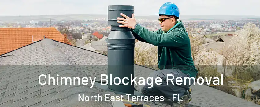 Chimney Blockage Removal North East Terraces - FL
