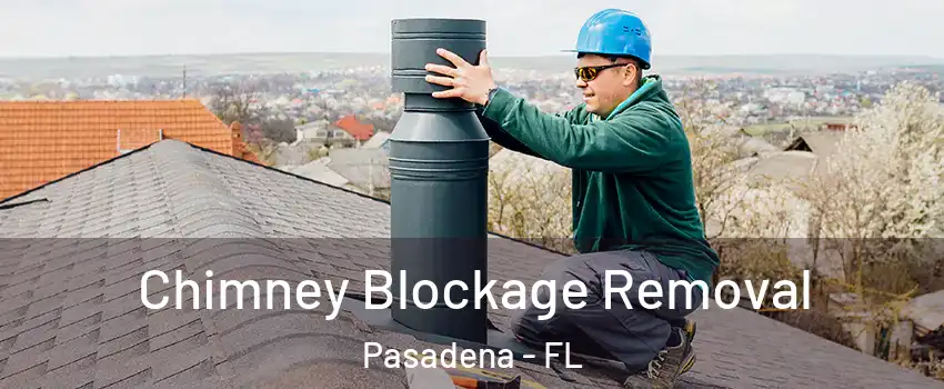 Chimney Blockage Removal Pasadena - FL
