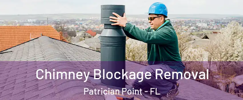 Chimney Blockage Removal Patrician Point - FL