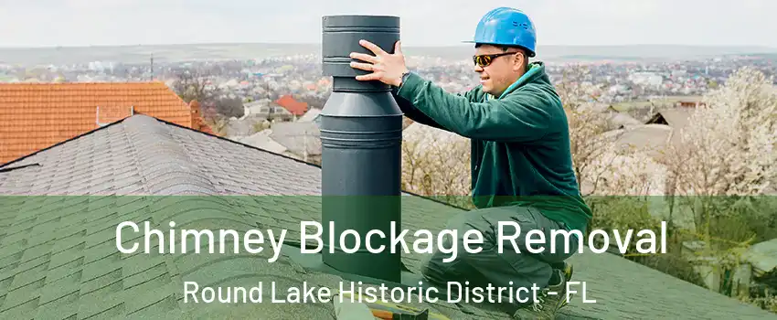 Chimney Blockage Removal Round Lake Historic District - FL