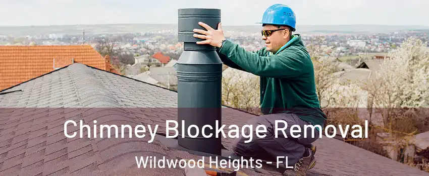 Chimney Blockage Removal Wildwood Heights - FL