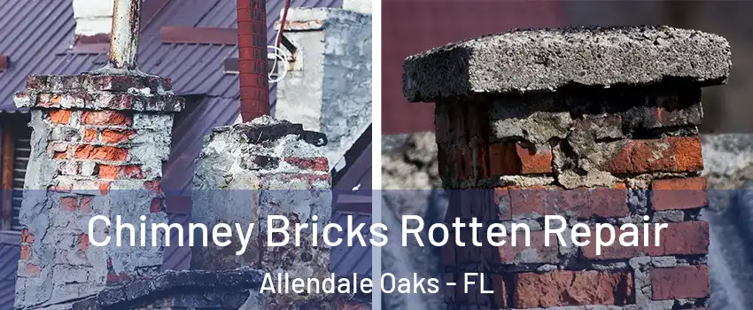 Chimney Bricks Rotten Repair Allendale Oaks - FL