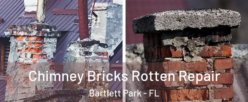 Chimney Bricks Rotten Repair Bartlett Park - FL