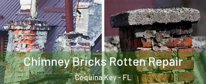 Chimney Bricks Rotten Repair Coquina Key - FL