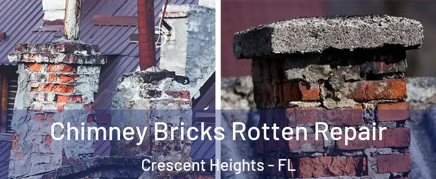 Chimney Bricks Rotten Repair Crescent Heights - FL