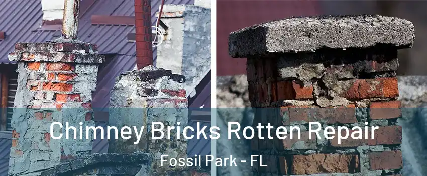 Chimney Bricks Rotten Repair Fossil Park - FL