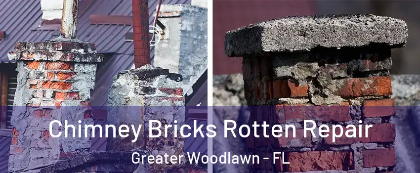 Chimney Bricks Rotten Repair Greater Woodlawn - FL