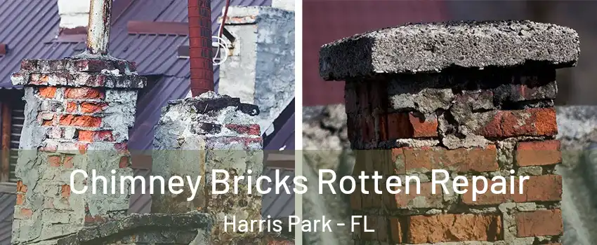 Chimney Bricks Rotten Repair Harris Park - FL