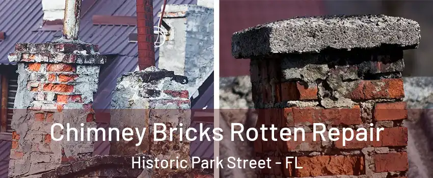 Chimney Bricks Rotten Repair Historic Park Street - FL