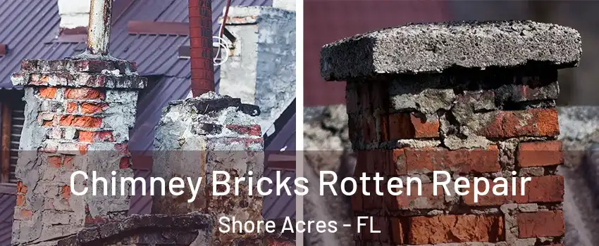 Chimney Bricks Rotten Repair Shore Acres - FL