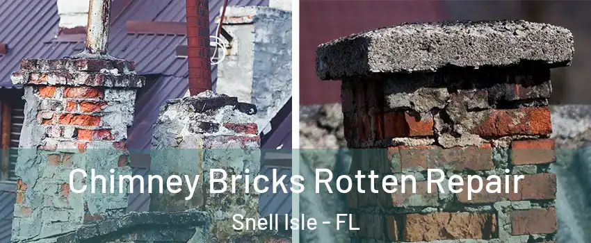 Chimney Bricks Rotten Repair Snell Isle - FL