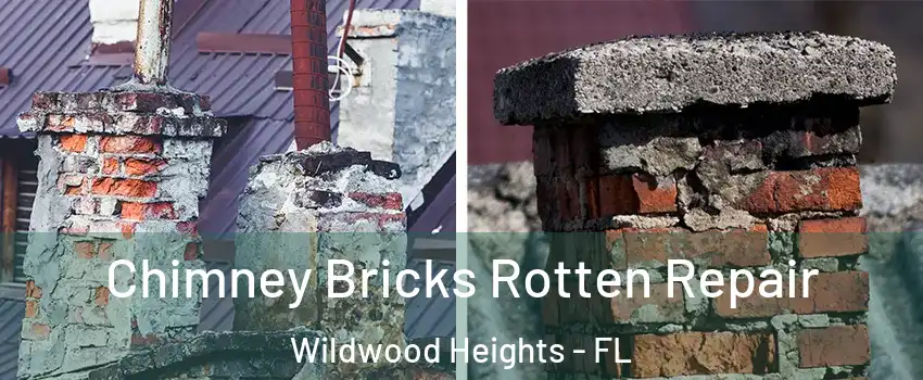 Chimney Bricks Rotten Repair Wildwood Heights - FL