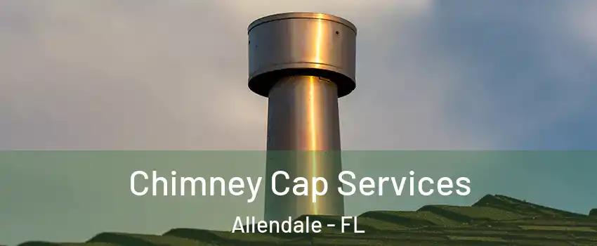 Chimney Cap Services Allendale - FL