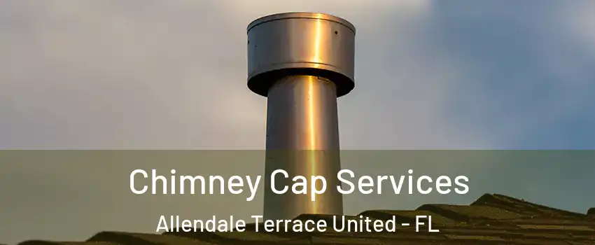 Chimney Cap Services Allendale Terrace United - FL