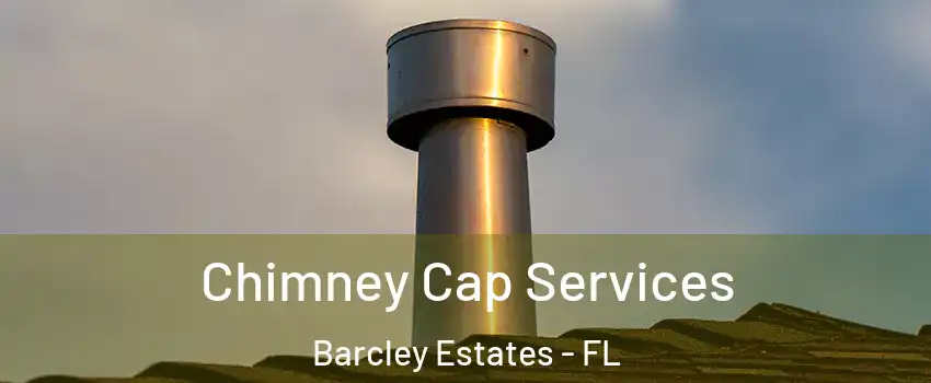 Chimney Cap Services Barcley Estates - FL