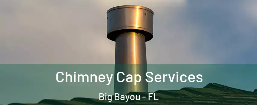 Chimney Cap Services Big Bayou - FL