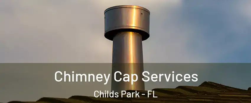 Chimney Cap Services Childs Park - FL