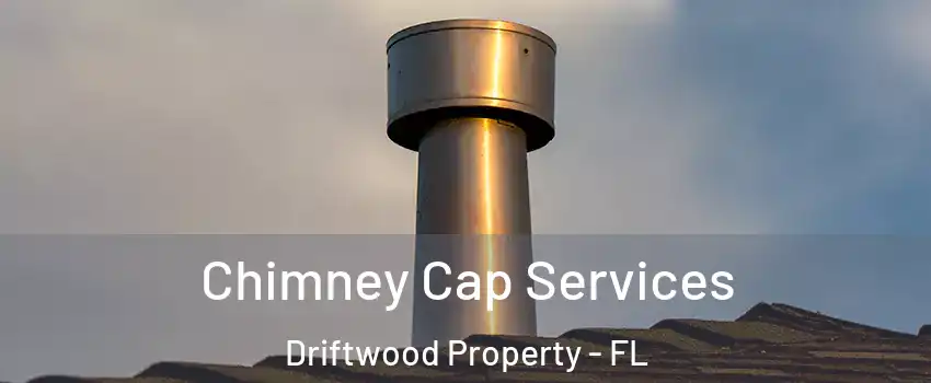 Chimney Cap Services Driftwood Property - FL