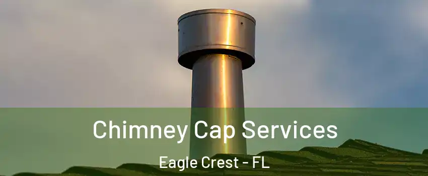 Chimney Cap Services Eagle Crest - FL