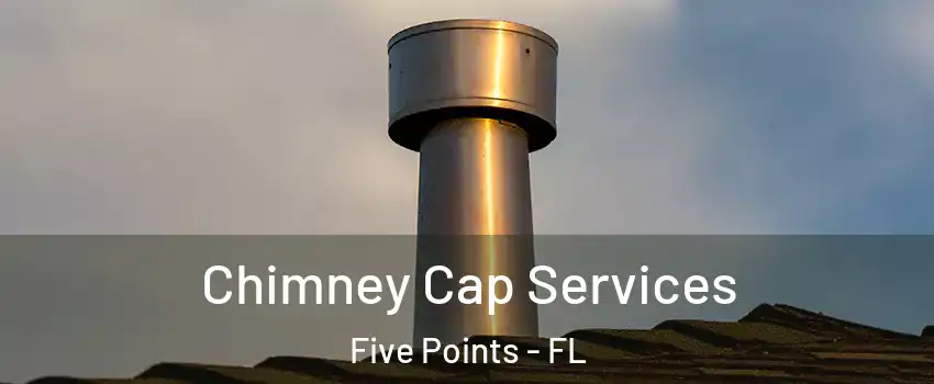Chimney Cap Services Five Points - FL