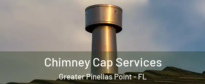 Chimney Cap Services Greater Pinellas Point - FL