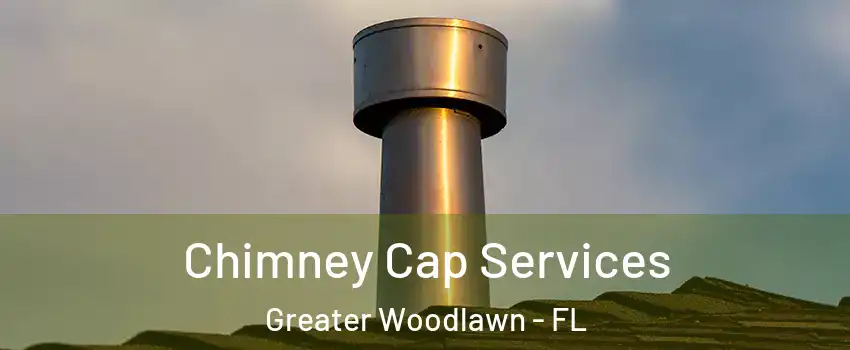 Chimney Cap Services Greater Woodlawn - FL