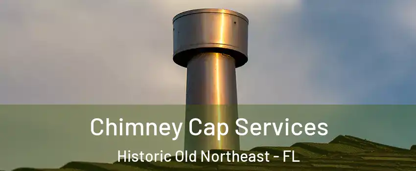 Chimney Cap Services Historic Old Northeast - FL