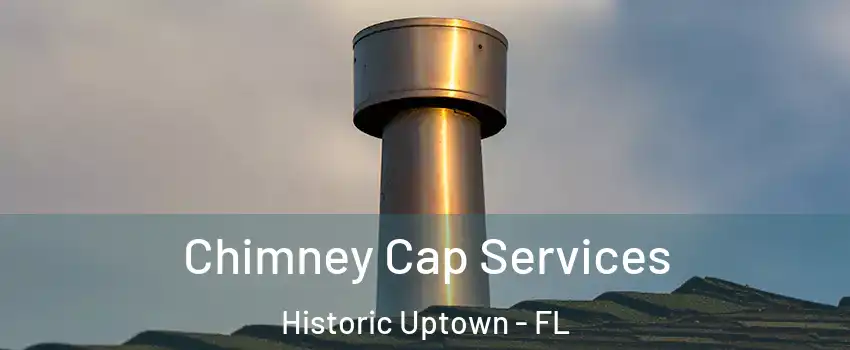 Chimney Cap Services Historic Uptown - FL