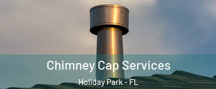 Chimney Cap Services Holiday Park - FL