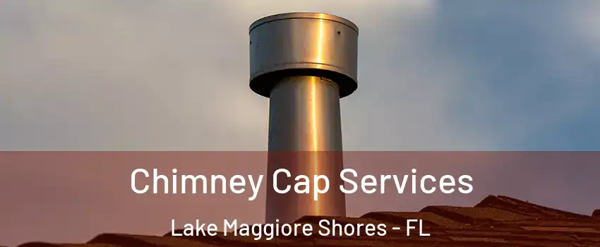 Chimney Cap Services Lake Maggiore Shores - FL