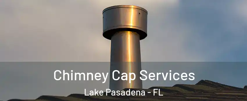 Chimney Cap Services Lake Pasadena - FL
