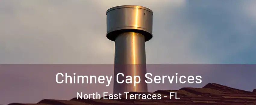 Chimney Cap Services North East Terraces - FL